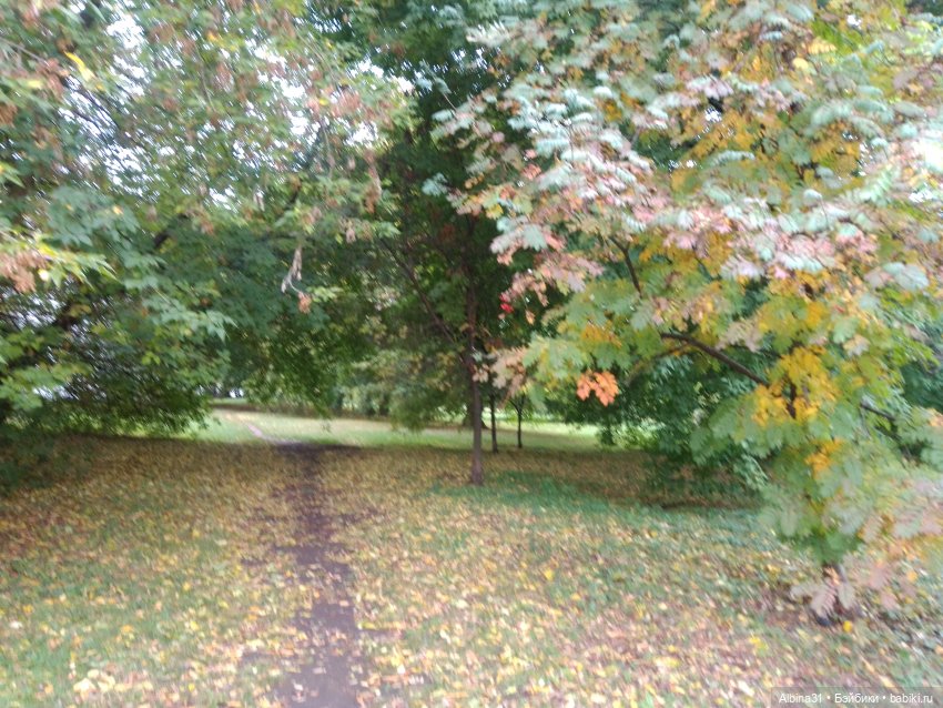 Прогулка по Измайловскому островку