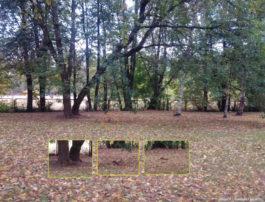 Прогулка по Измайловскому островку