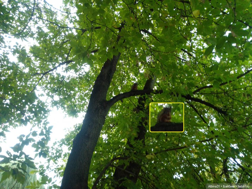 Прогулка по Измайловскому островку