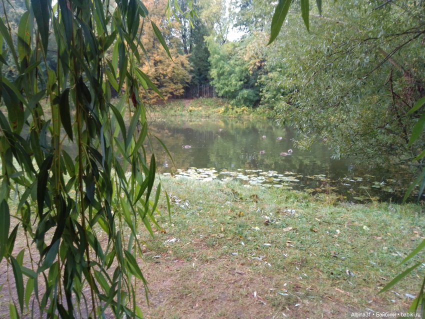 Прогулка по Измайловскому островку