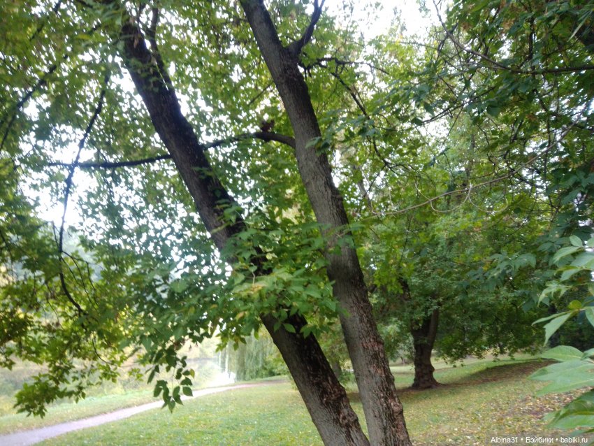 Прогулка по Измайловскому островку