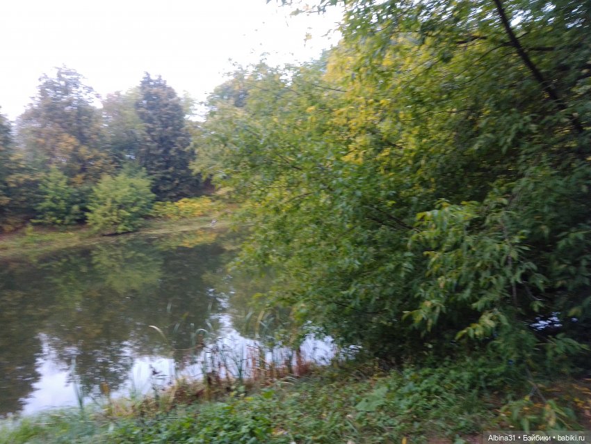 Прогулка по Измайловскому островку (фото 9)