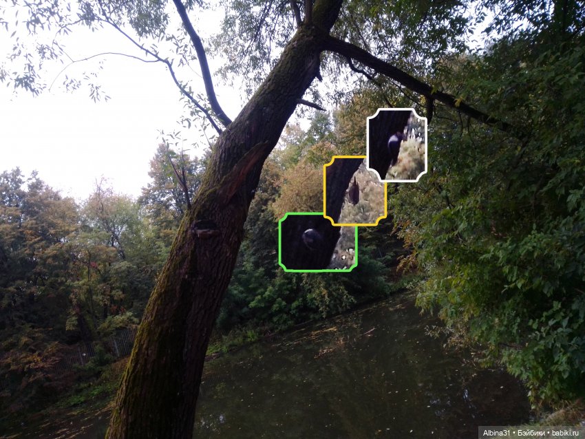 Прогулка по Измайловскому островку