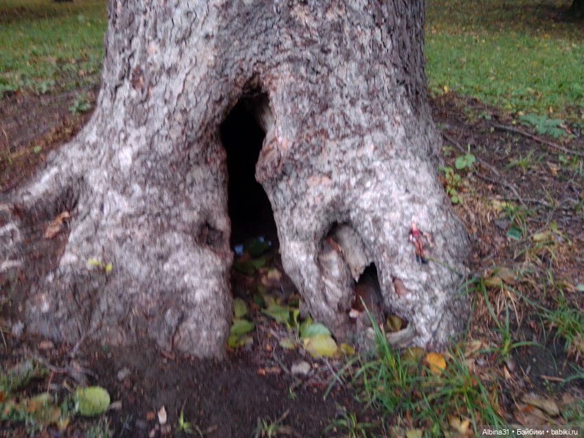 Прогулка по Измайловскому островку