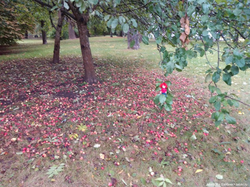 Прогулка по Измайловскому островку