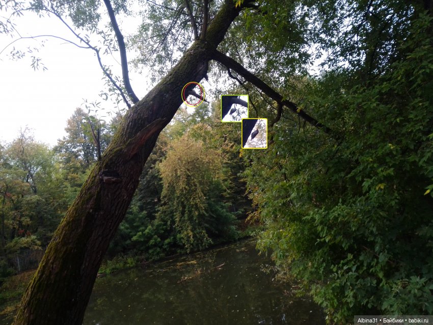 Прогулка по Измайловскому островку