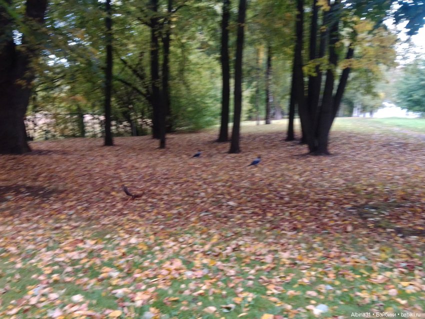 Прогулка по Измайловскому островку