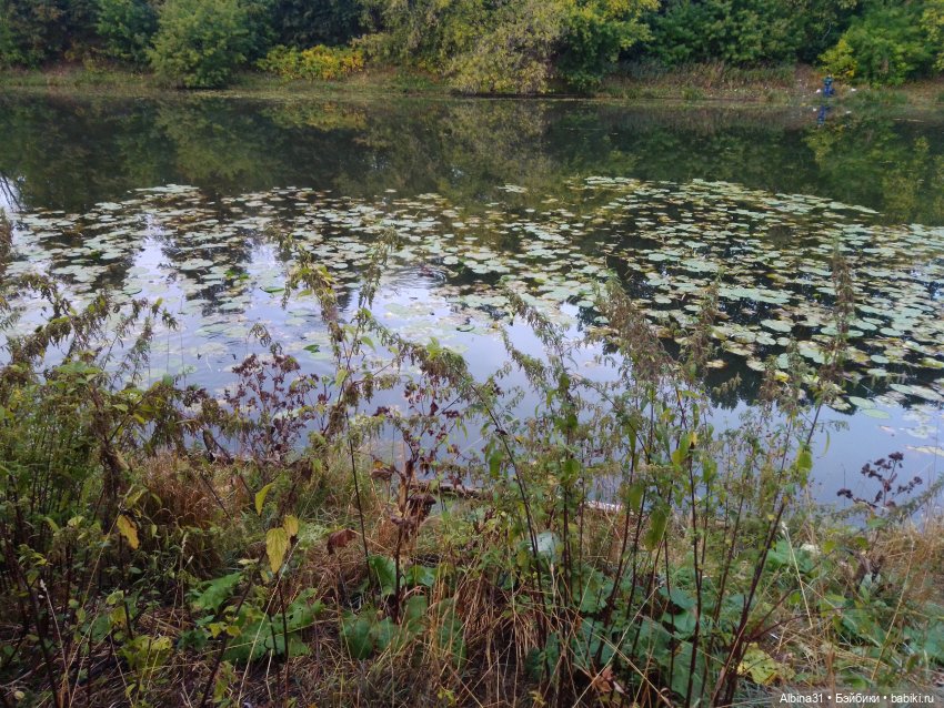 Прогулка по Измайловскому островку (фото 2)