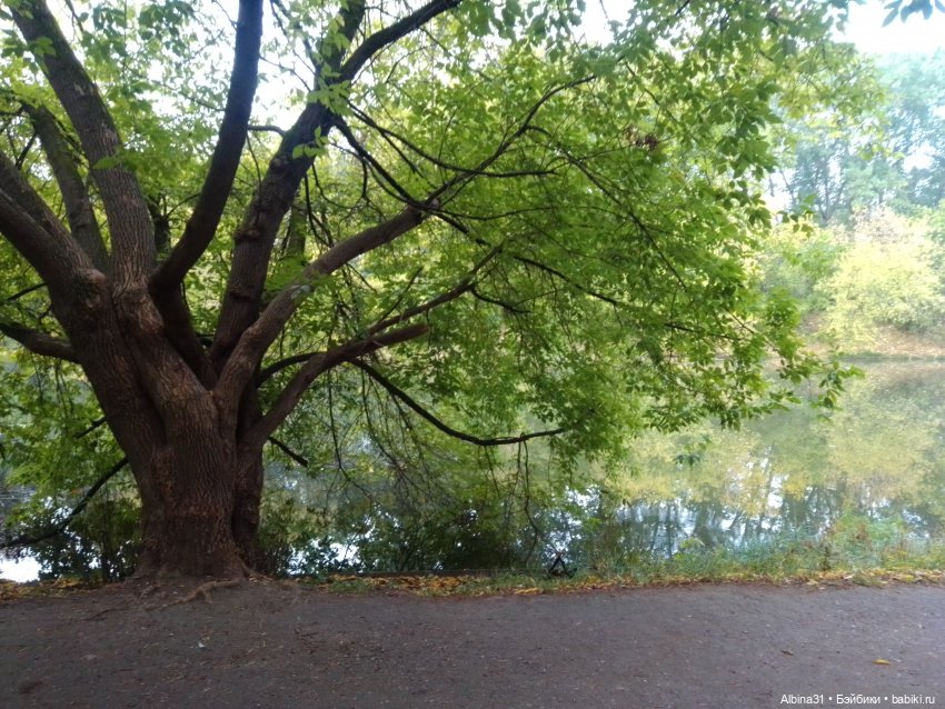 Измайлова, продолжение — Игровые куклы разных производителей (Разное): редкие бренды