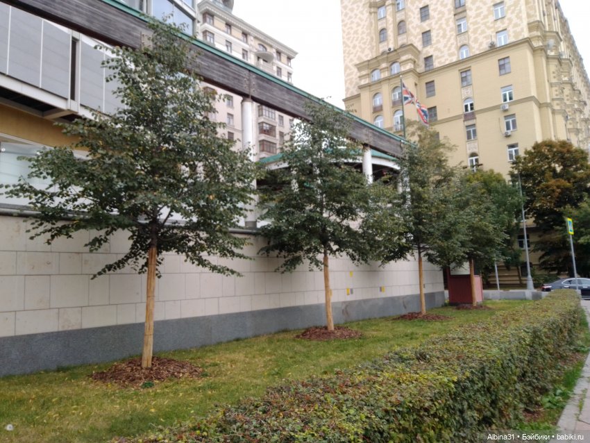 Это Москва... 2022 год (8 часть)