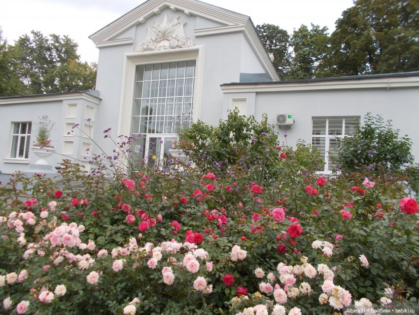 ВДНХ сентябрь 2022 — Игровые куклы разных производителей (Разное): редкие бренды (фото 8)