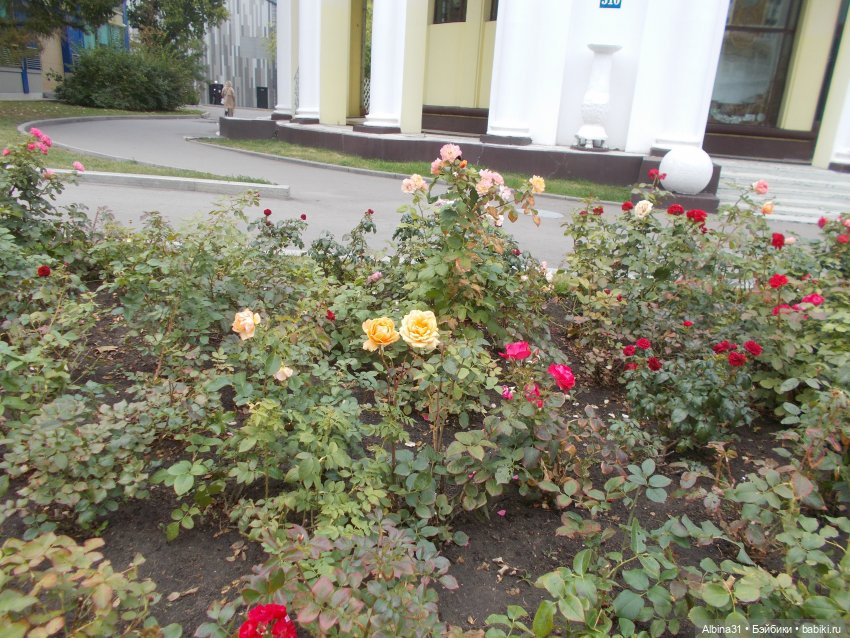 ВДНХ сентябрь 2022 — Игровые куклы разных производителей (Разное): редкие бренды