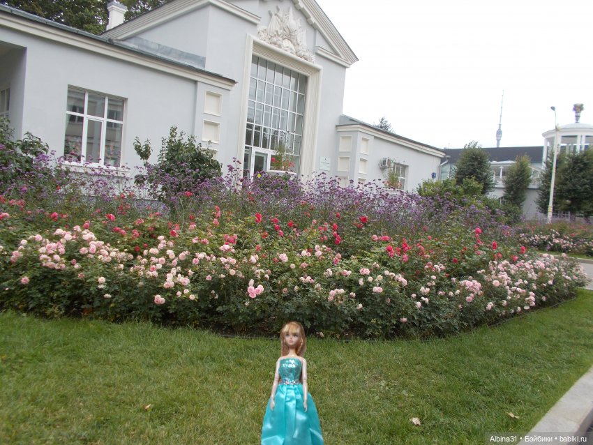 ВДНХ сентябрь 2022 — Игровые куклы разных производителей (Разное): редкие бренды (фото 7)