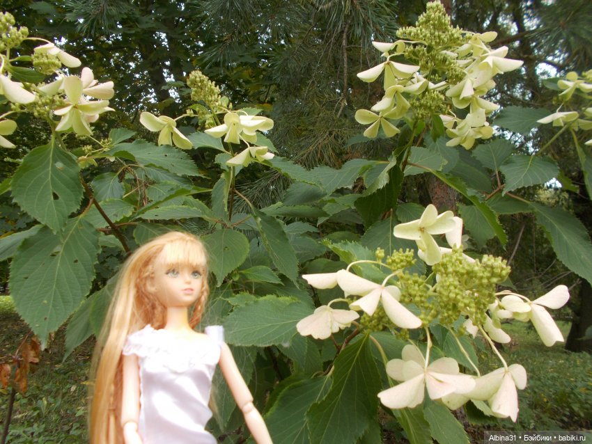 Парк "Сад будущего" и Космопарк 2022 год (фото 10)