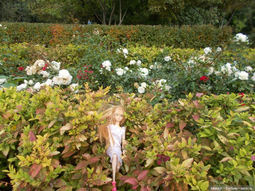 Парк "Сад будущего" и Космопарк 2022 год