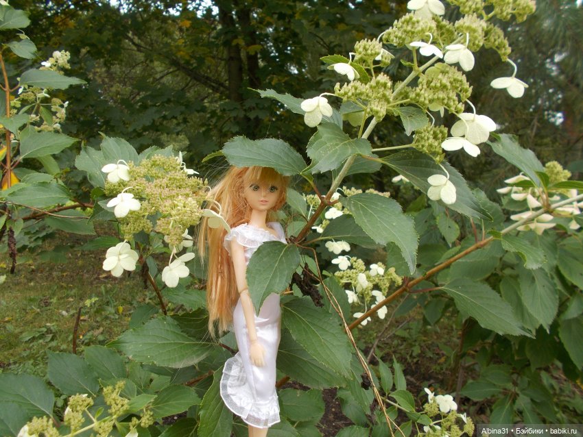 Парк "Сад будущего" и Космопарк 2022 год (фото 9)