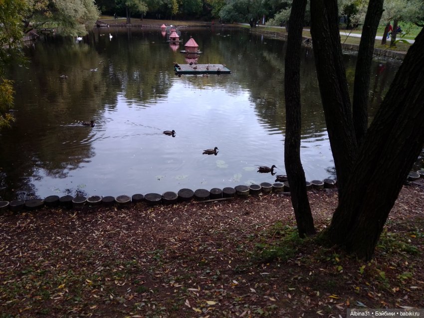 Парк "Сад будущего" и Космопарк 2022 год