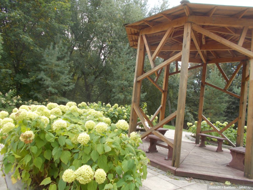 Парк "Сад будущего" и Космопарк 2022 год (фото 7)