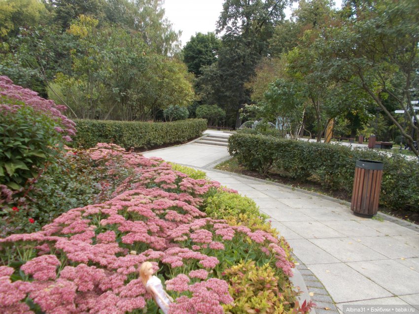 Парк "Сад будущего" и Космопарк 2022 год (фото 3)