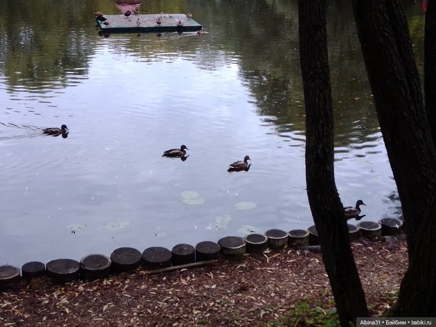 Парк "Сад будущего" и Космопарк 2022 год