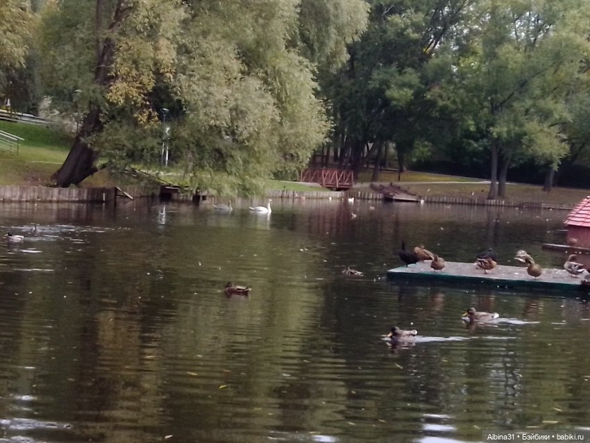 Парк "Сад будущего" и Космопарк 2022 год