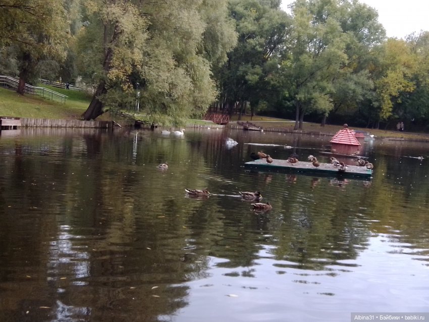 Парк "Сад будущего" и Космопарк 2022 год