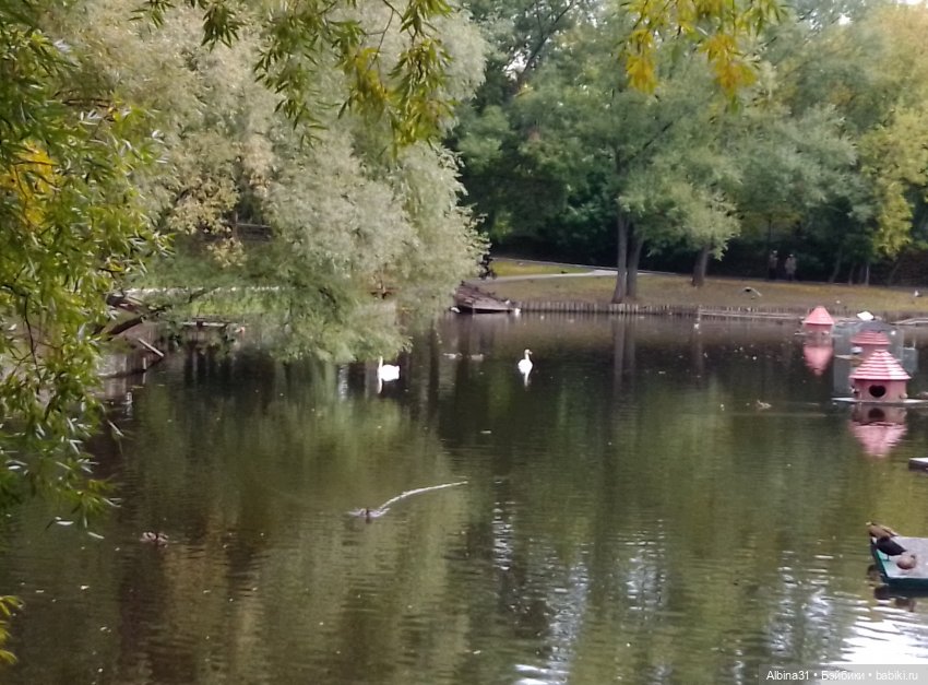 Парк "Сад будущего" и Космопарк 2022 год