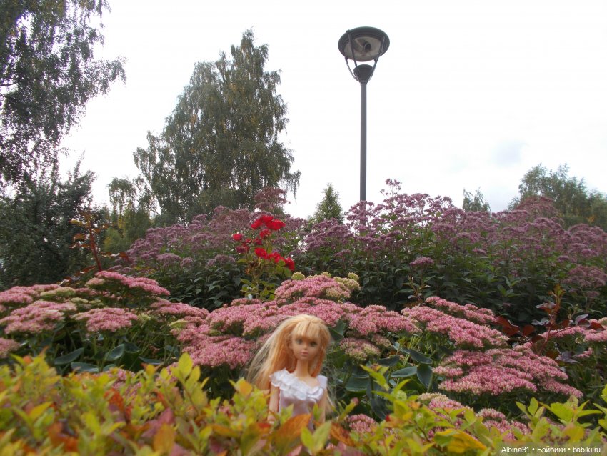 Парк "Сад будущего" и Космопарк 2022 год (фото 4)