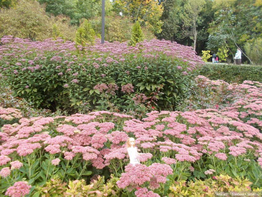 Парк "Сад будущего" и Космопарк 2022 год (фото 2)