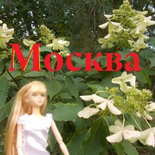 Парк "Сад будущего" и Космопарк 2022 год