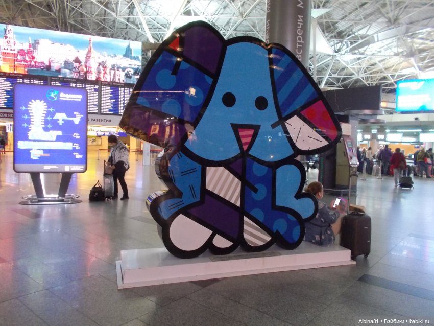 Аэропорты Москва сентябрь 2022 год (фото 7)