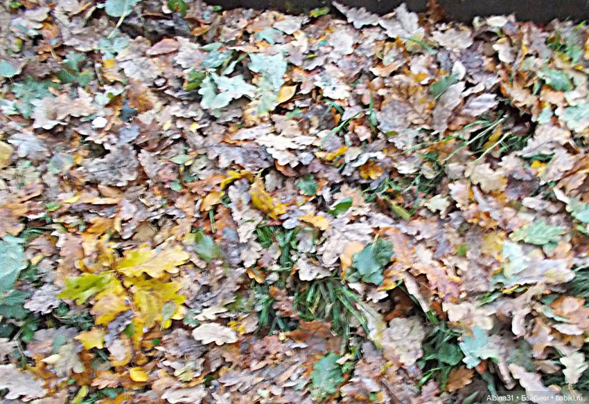 Аэропорты Москва сентябрь 2022 год