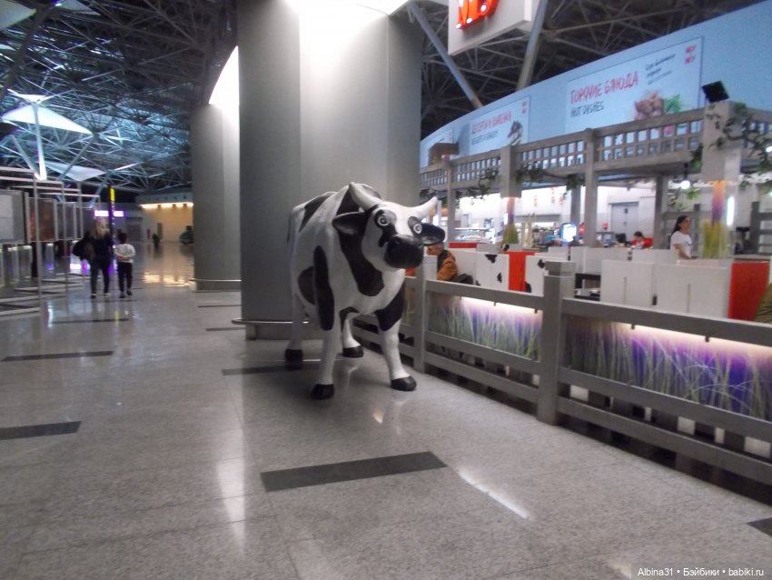 Аэропорты Москва сентябрь 2022 год