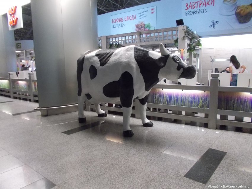 Аэропорты Москва сентябрь 2022 год