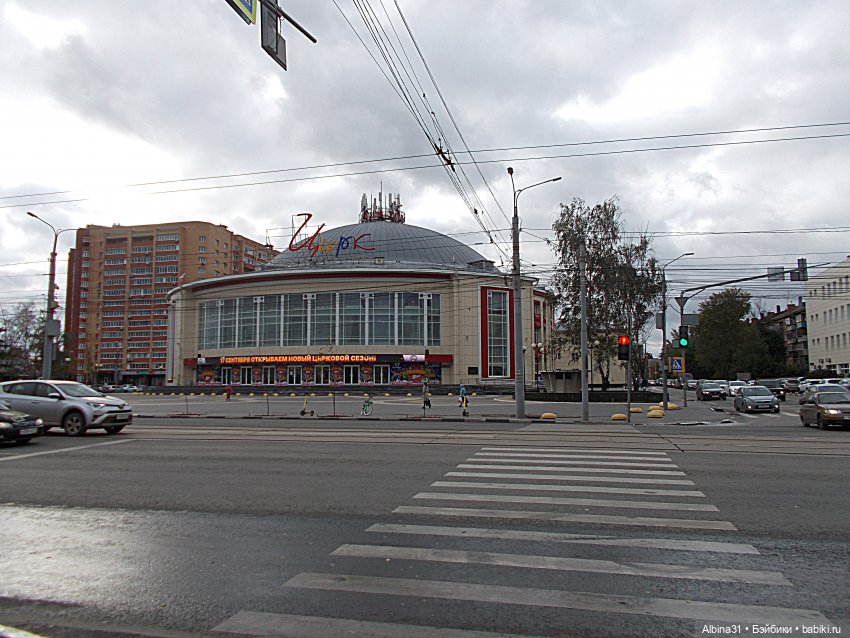 Тула 2022 год — Игровые куклы разных производителей (Разное): редкие бренды (фото 9)