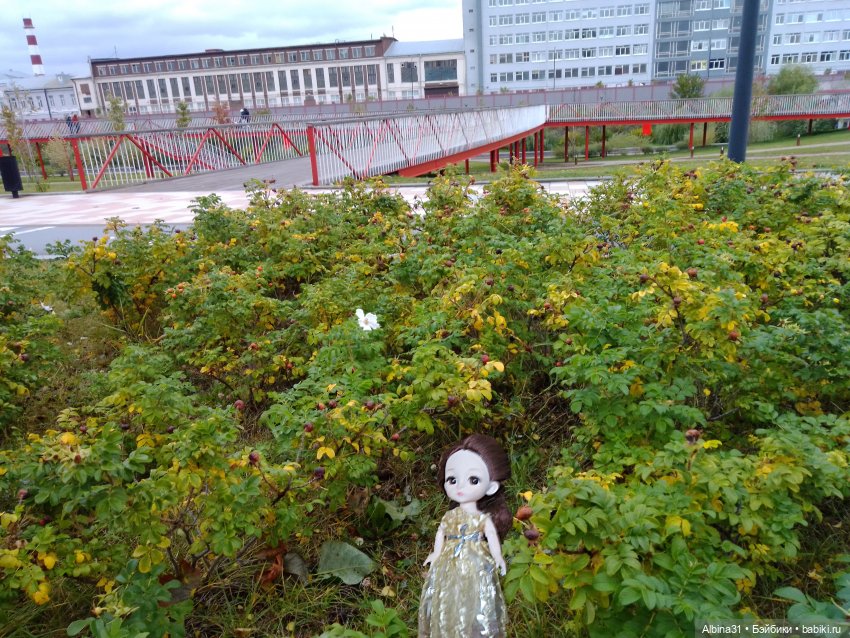 Тула 2022 год продолжение