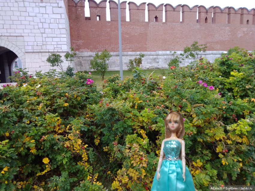 Тула 2022 год часть третья (фото 3)