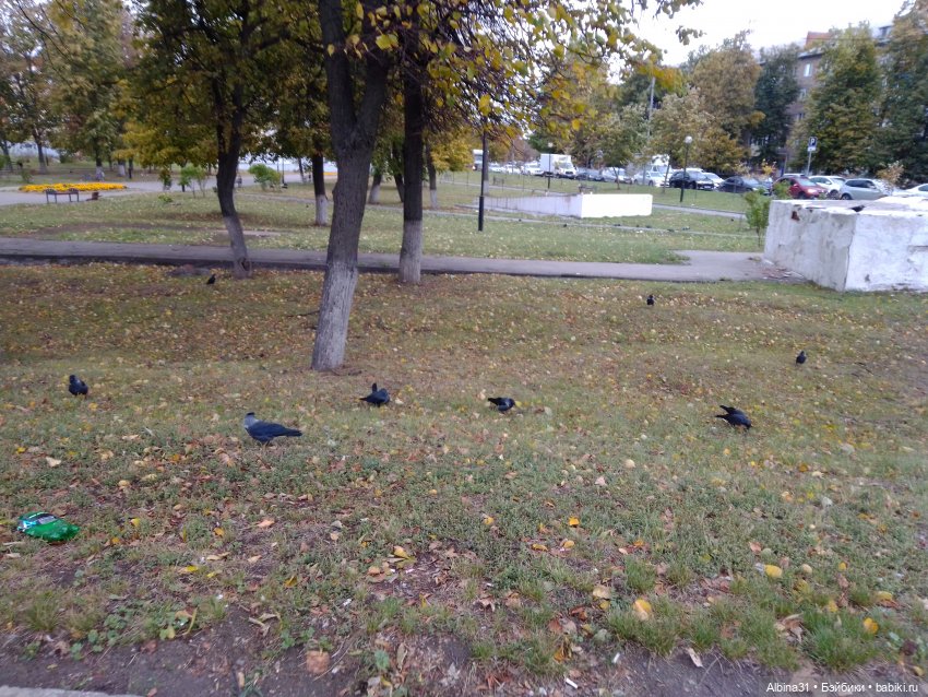 Тула 2022 год часть третья