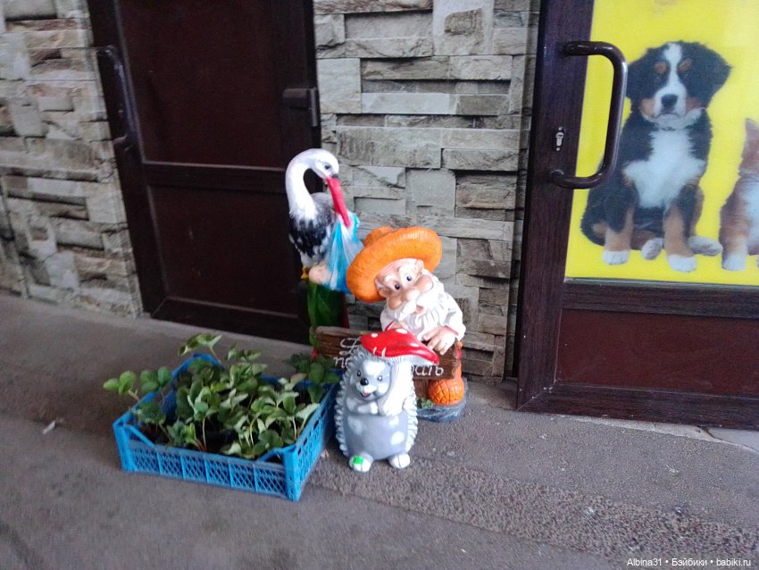 Тула 2022 год часть третья