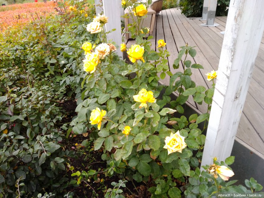 Тула 2022 год часть третья