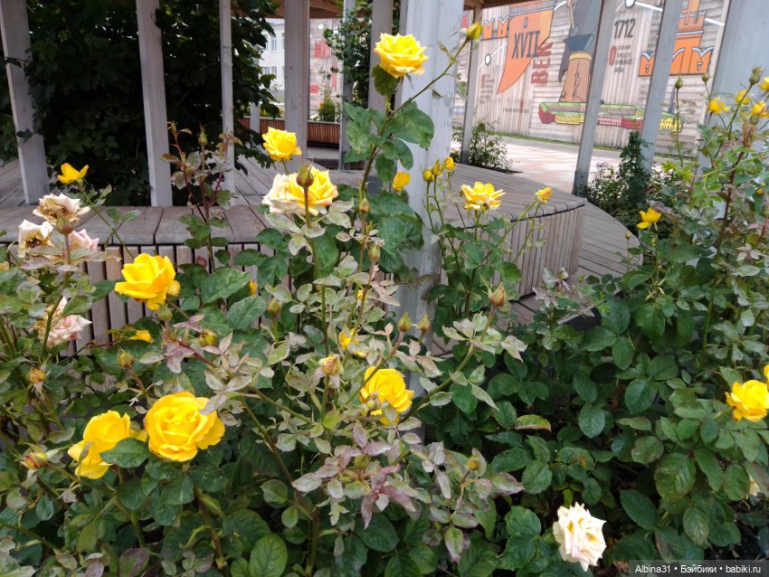 Тула 2022 год часть третья