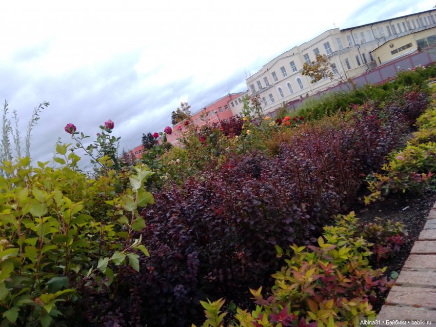 Тула 2022 год часть третья (фото 7)