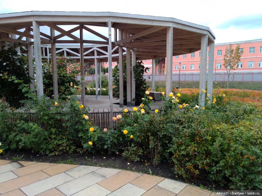 Тула 2022 год часть третья (фото 10)