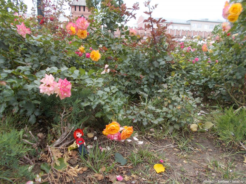 Тула. Кремль 2022 год — Игровые куклы разных производителей (Разное): редкие бренды