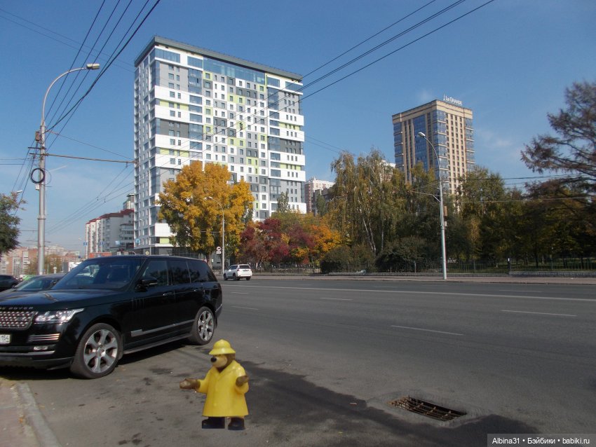 Новосибирск 2022 год — Игровые куклы разных производителей (Разное): редкие бренды