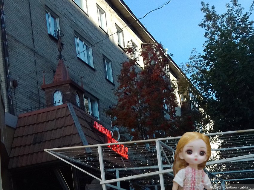 Новосибирск 2022 год — Игровые куклы разных производителей (Разное): редкие бренды