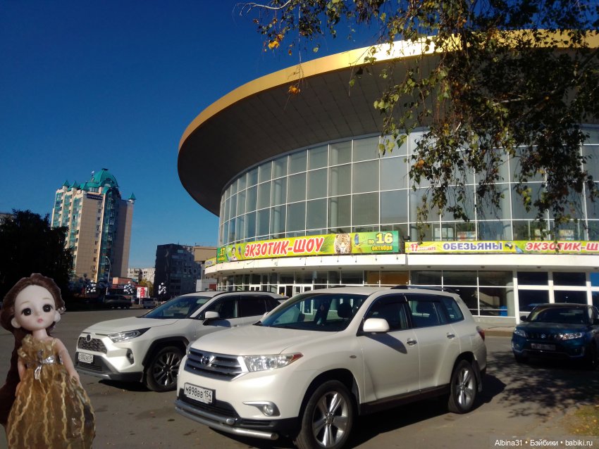 Новосибирск 2022 год — Игровые куклы разных производителей (Разное): редкие бренды