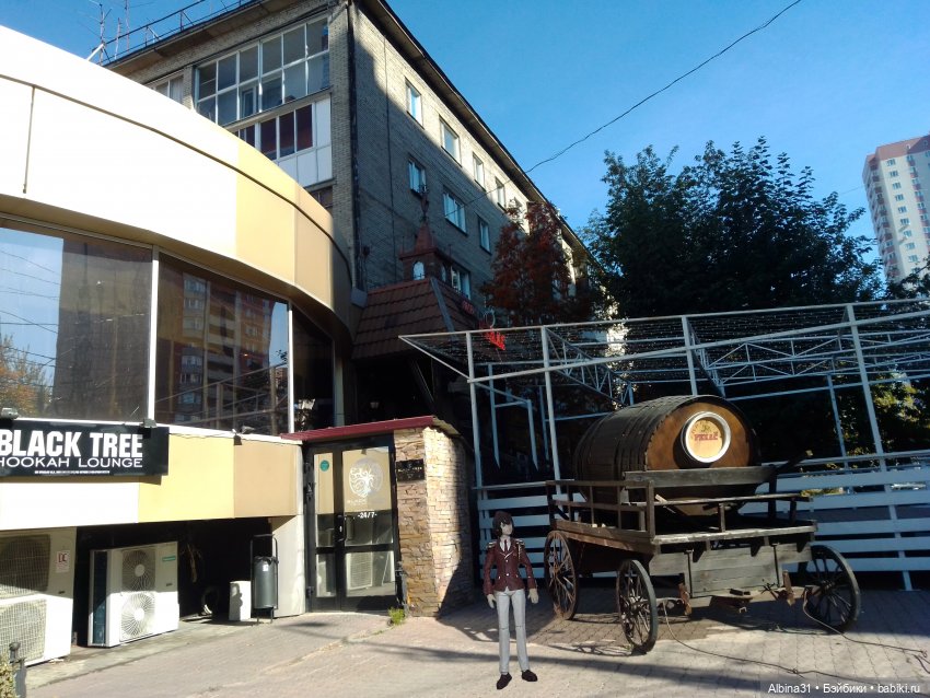 Новосибирск 2022 год — Игровые куклы разных производителей (Разное): редкие бренды