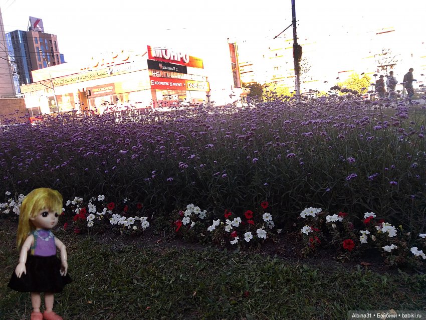 Новосибирск 2022 год, окончание