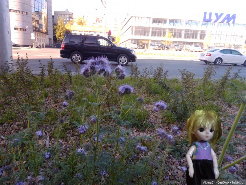 Новосибирск 2022 год, окончание